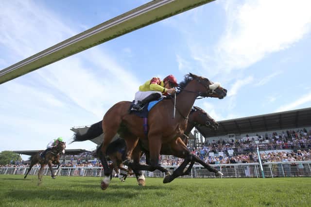 CATCH ME IF YOU CAN: Matteo ridden by Kevin Stott wins the Beverley Two Year Old Trophy EBF Conditions Stakes at Beverley on Saturday. Picture: Nigel French/PA