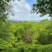 The six acre woodland for sale
