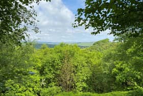 The six acre woodland for sale