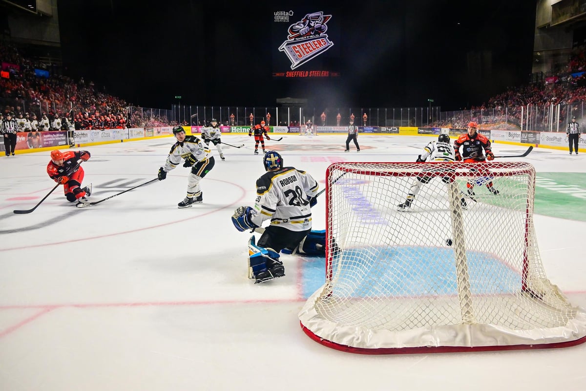 Ryan Tait's perfect timing helps Sheffield Steelers maintain winning Challenge Cup start