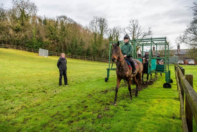 Highfield Stables, Beverley Road, Norton, Malton, North Yorkshire. Pictured Sean Quinn, son of Trainer John Quinn, watching their horses walk through the stalls.