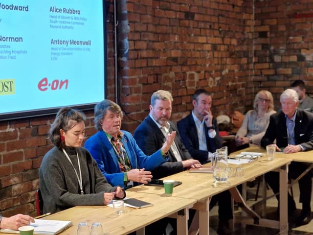 Sheffield could become a pioneer and “net exporter” of green skills and supply chain, a sponsored discussion with local businesses has heard, by developing an extended network of sustainable green infrastructure which would benefit businesses and residents in the city. (Photo by National World)