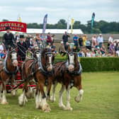 PeggyLea Clydesdales during the Heavy Horse Turnout's in the Main Ring at a previous Great Yorkshire Show.