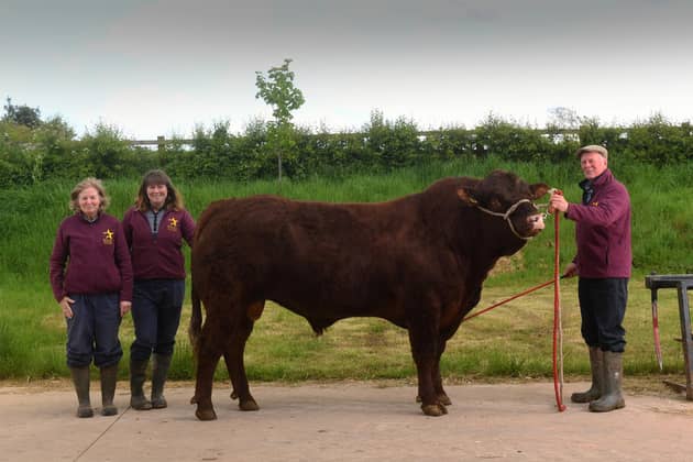 Terence Pye with his wife Jane and daughter Emma Denton pictured with a Saler Bull at Leven Fields Farm, Middleton on Leven