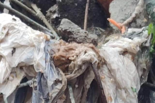 One enviromentalist visiting the site described the stench from the waste was “appalling.”