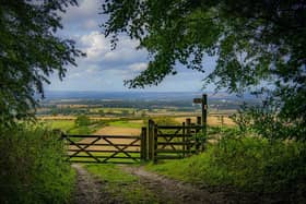 The Yorkshire Wolds Way. (Pic credit: Tony Johnson)