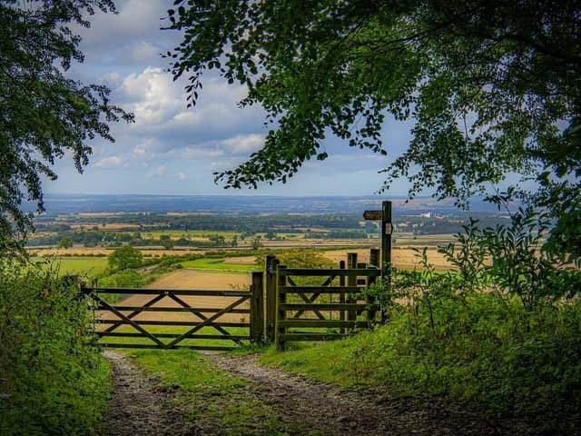The Yorkshire Wolds Way. (Pic credit: Tony Johnson)