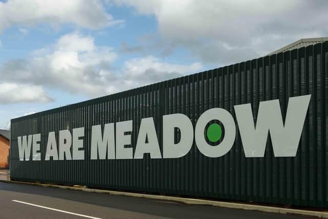 Value added ingredients business Meadow has acquired Naked Foods, a producer of fruit and confectionery sauces.