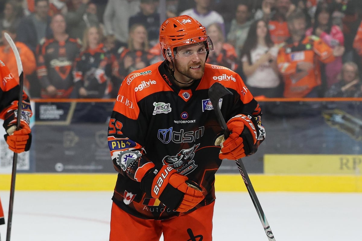 Sheffield Steelers urged to bring their work ethic every night