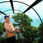Vic Hollings, from Keighley, who has been tending his collection of Bonsai trees for 60 years