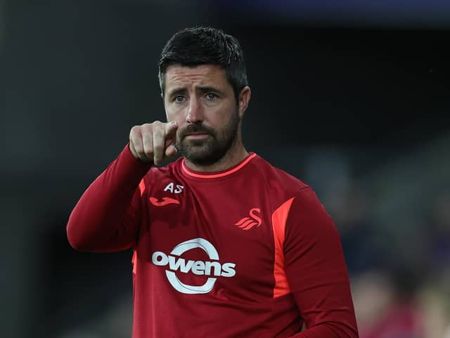 Alan Sheehan is in temporary charge of Swansea City. Image: Pete Norton/Getty Images