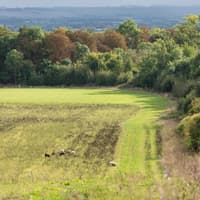 Wimpole: “Abundance” of wildlife with 5,000 species recorded