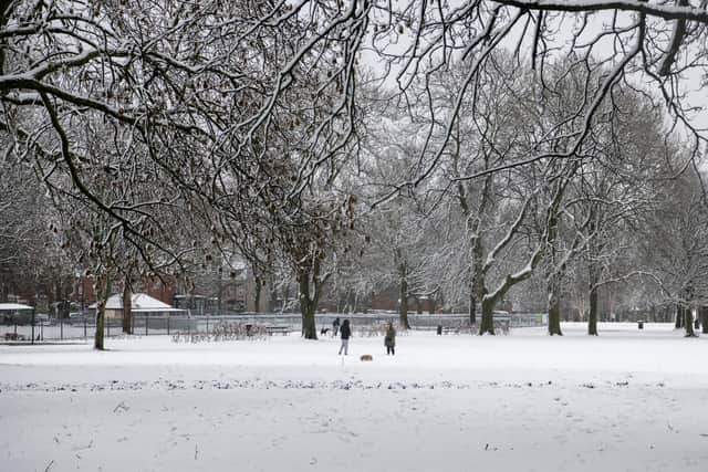 Dog walkers in Leeds after heavy snowfall hit Yorkshire overnight. (Pic credit: Tony Johnson)