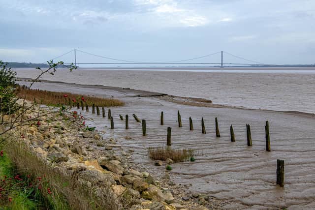 Feature on North Ferriby photographed by Tony Johnson for The Yorkshire Post.  
The Foreshore at North Ferriby on the banks of The Humber  looking towards the Humber Bridge.