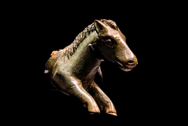 The knife handle in the form of a horse, may symbolically represent a sacrificial animal in this context. Picture By Yorkshire Post Photographer,  James Hardisty.