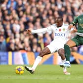 Leeds United were held by Plymouth Argyle at Elland Road. Image: George Wood/Getty Images