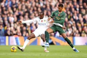 Leeds United were held by Plymouth Argyle at Elland Road. Image: George Wood/Getty Images