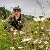 Jim Horsfall, South Yorks reserve team leader for Yorkshire Wildlife Trust, at the Fenn Carr Nature Reserve,  as the wildflower meadows bloom, seeded a decade ago to mark 60 years since the Queen's Coronation. Picture by Yorkshire Post Photographer Bruce Rollinson