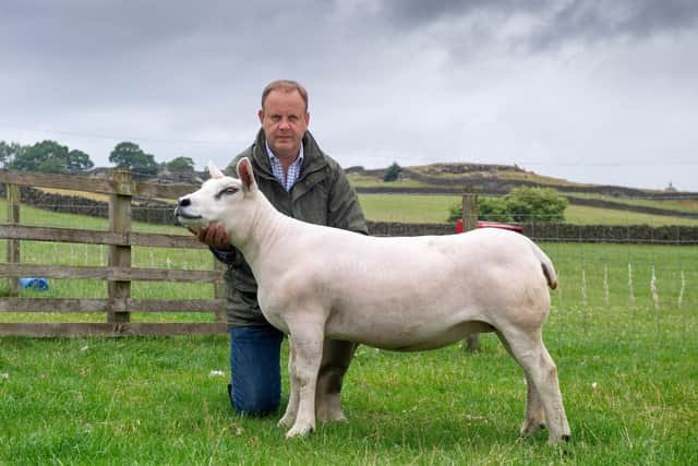 John with his Otley show-winning Texel. (Pic credit: Bruce Rollinson)