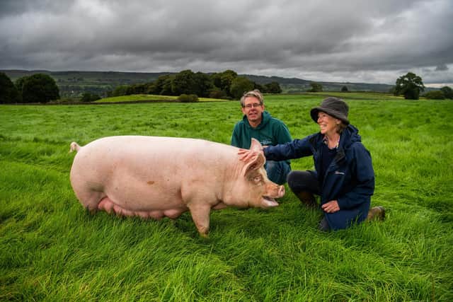 Tim Durham and Bridget Jill Thornton-Berrywith their large white pig