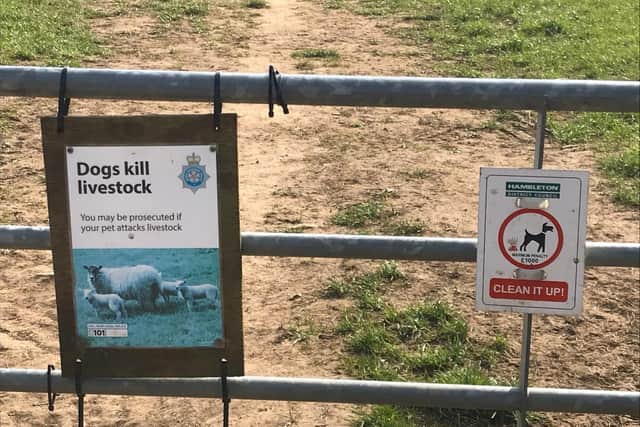 Signs asking dog owners to keep their pets under control during lambing season.
