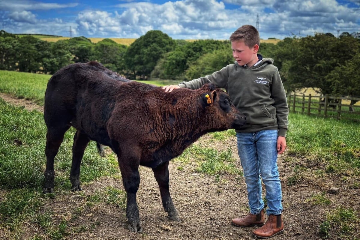 William, 11, takes pride of place in farming awards