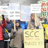 Protests against the tree-felling policy lasted for years