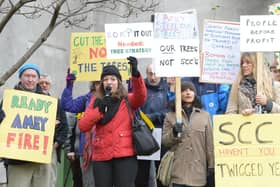 Protests against the tree-felling policy lasted for years