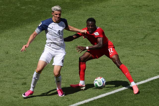 GOOD ADDITION: Tarik Muharemovic, pictured in action for Bosnia and Herzegovina against Canada in the World Cup, is backed by Hull City boss Sergej Jakirovic to be a success at Leeds United. Picture: Michael Steele/Getty Images