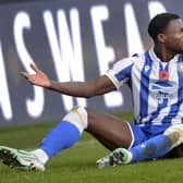 HAPPY RETURNS: Sheffield Wednesday defender Dominic Iorfa
