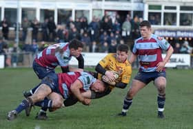 CHASING PACK: Rotherham Titans are ensuring that Leeds Tykes don't lose focus in National League Two. Picture: Kerrie Beddows