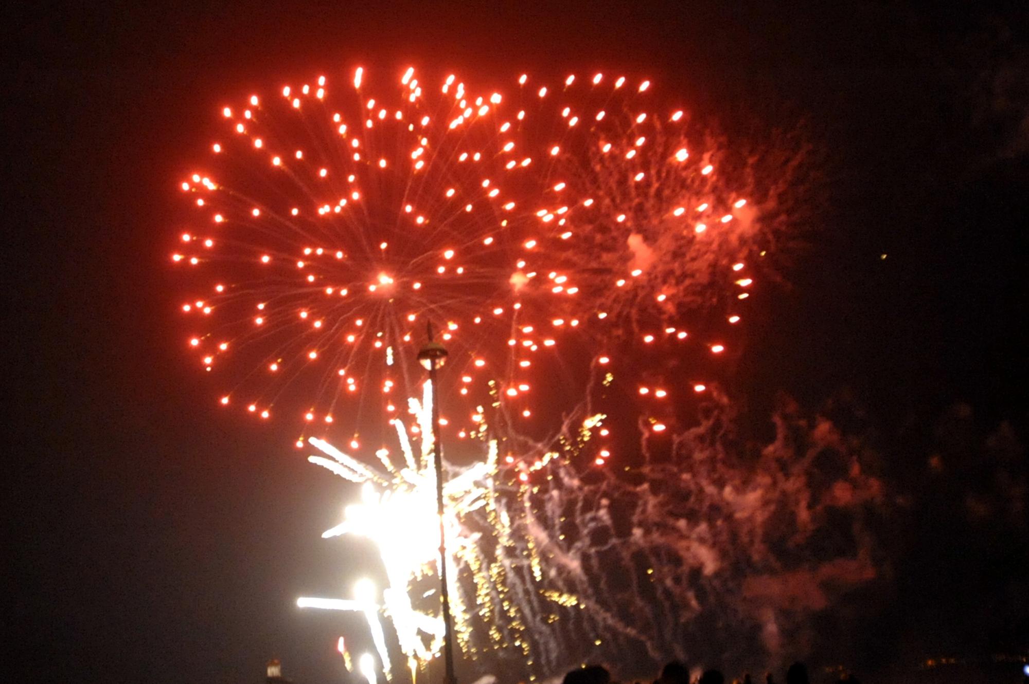 Time to take action on fireworks to protect cats - Yorkshire Post Letters