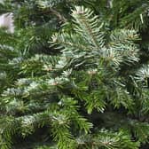 Christmas trees will be coming down and January blues may be settling in. PIC: PA Photo/Thinkstockphotos.