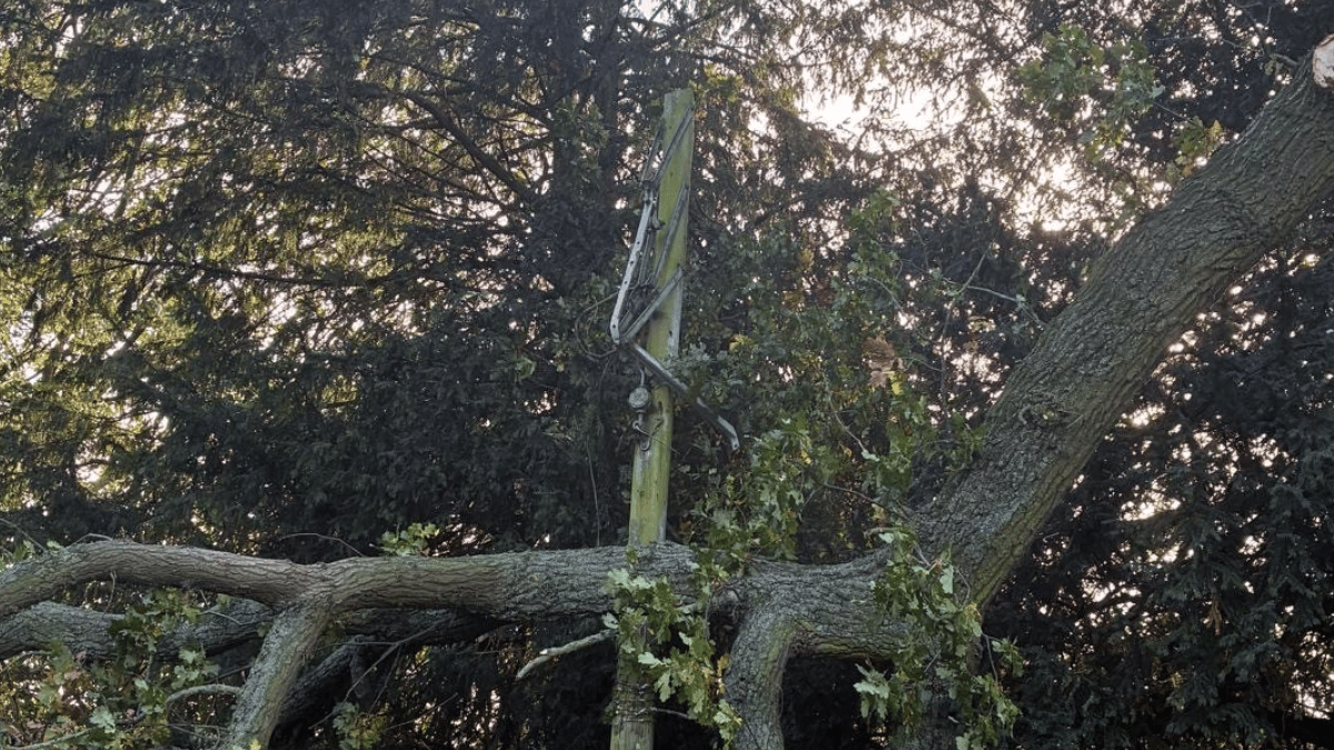 Batters Sign Thousands without power as Storm Boelo batters Yorkshire and the North East