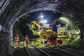 Renew Holdings subsidiary QTS clears fallen branches on a railway line.