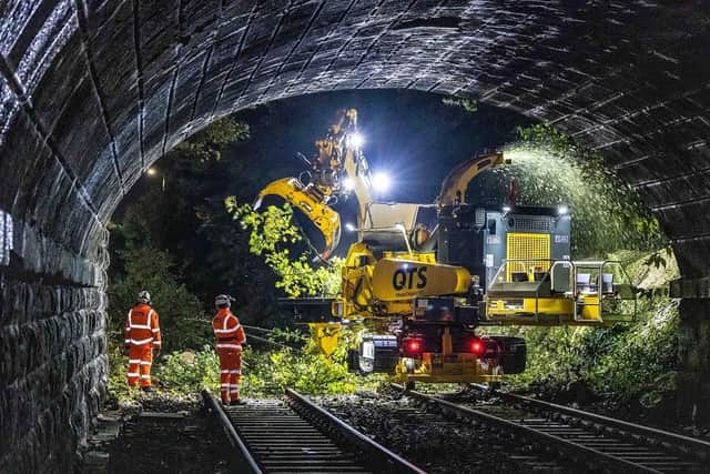 Renew Holdings subsidiary QTS clears fallen branches on a railway line.