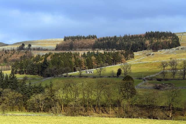 A lone stone barn. (Pic credit: Jonathan Gawthorpe)