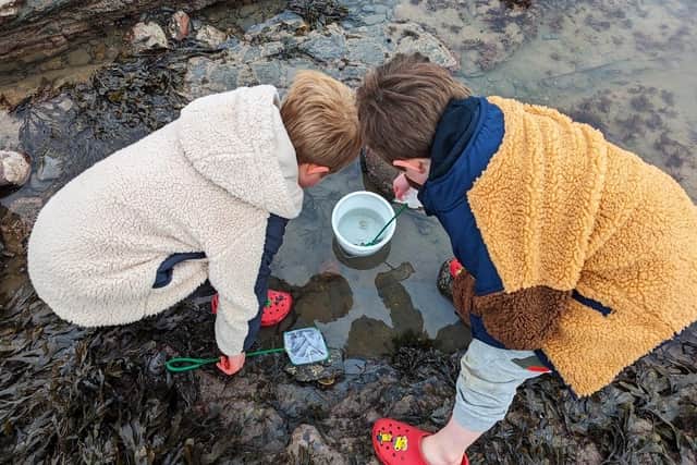 Rockpooling at Robin Hood's Bay. (Pic credit: National Trust Images)