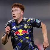 LOAN STAR: Harvey Vincent of Leeds United (Image: Lewis Storey/Getty Images)