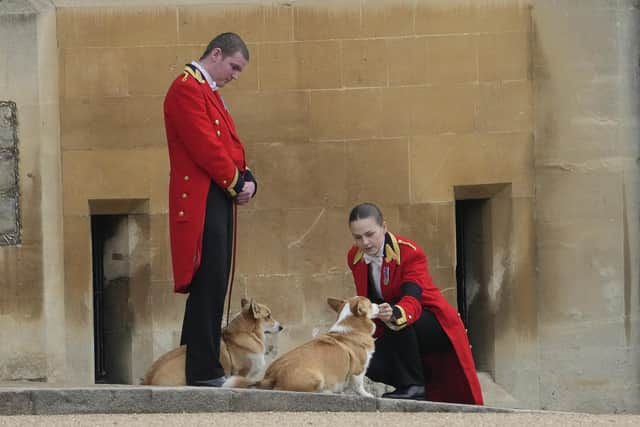 Members of staff, with corgi dogs, await the arrival of the coffin of Queen Elizabeth II at Windsor Castle (AP Photo/Gregorio Borgia, Pool)