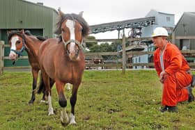 Archive pic: New arrivals pit ponies Eric and Ernie are welcomed to the National Coal Mining Museum at Caphouse Colliery by mine guide Col Reed.  July 5, 2007.