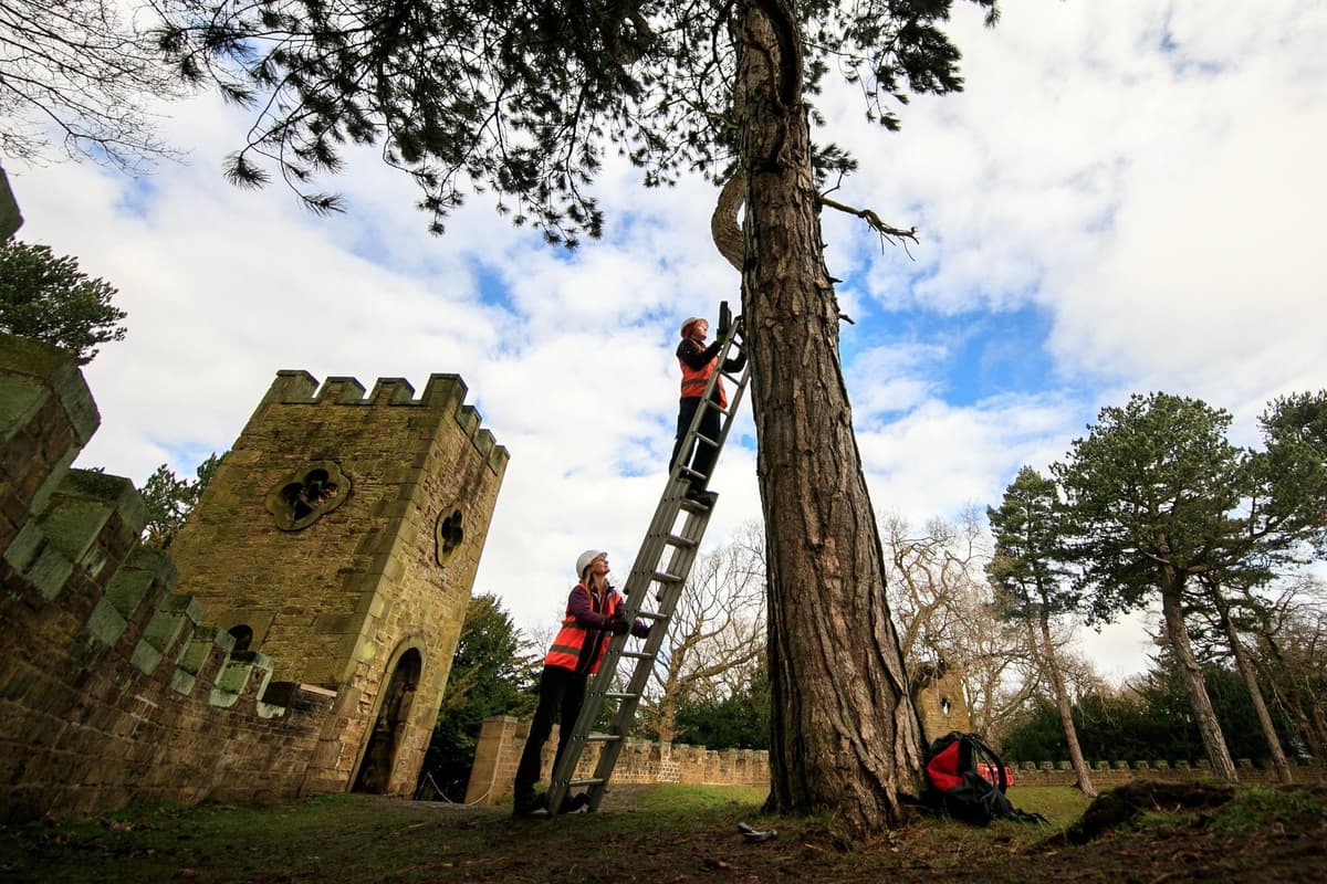 Teenage boy in hospital after fall from folly ruin at National Trust property in Yorkshire 
