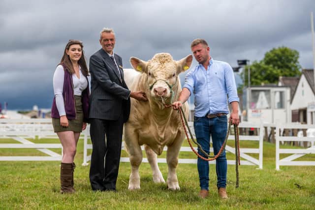 Lizze Elgie, with her dad John and stockman Michael Dumbreck holding a Charolais