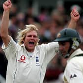 Matthew Hoggard celebrates the wicket of Australia's Justin Langer during the historic 2005 Ashes series. Photo: Martin Rickett/PA Wire.