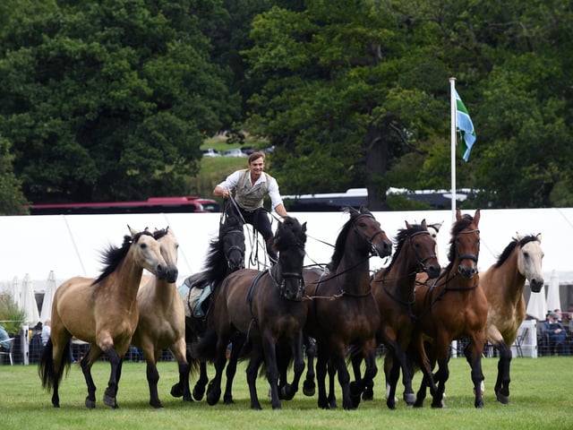 Chatsworth County Fair Atkinson Action Horses. 4th September 2026