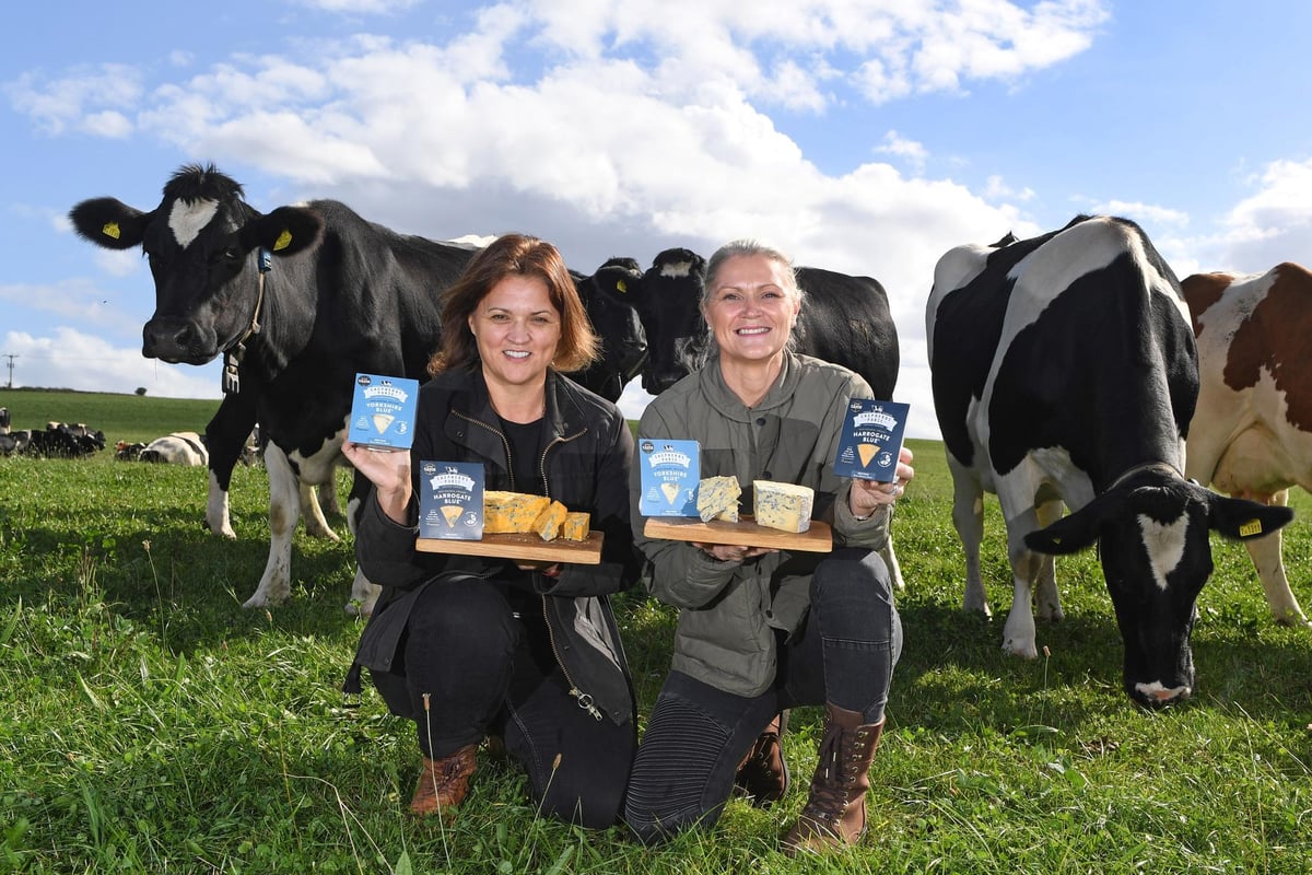 Shepherds Purse: Famous Yorkshire family cheesemaker takes British blue cheeses nationwide with Morrisons
