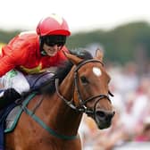 AIMING HIGH: Highfield Princess and Jason Hart are hoping to become the first British winner of the Hong Kong Sprint on Sunday. Picture: Mike Egerton/PA Wire.