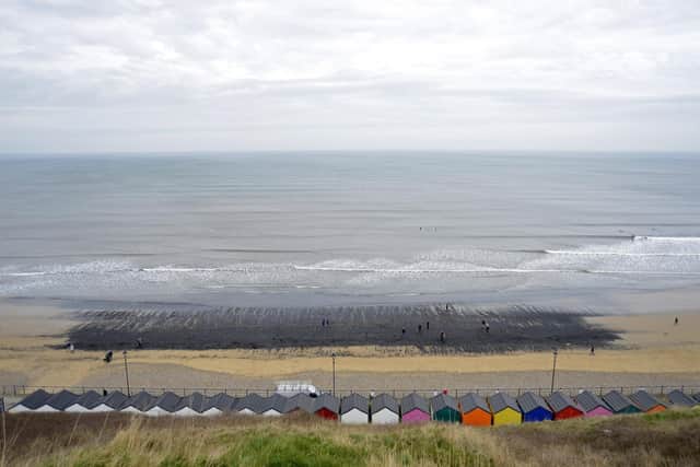 Thousands of dead and dying shellfish have washed up on the beach in Saltburn