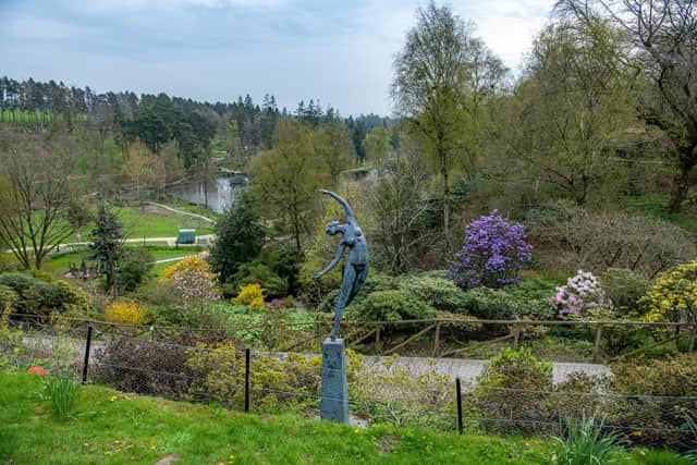 The Himalayan Garden & Sculpture Park near Ripon, photographed for The Yorkshire Post by Tony Johnson.
