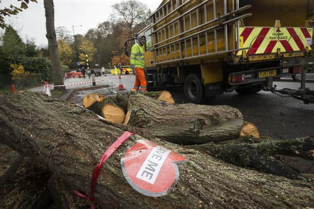 File photo dated 17/11/2016 of a sign on tree cut down by contractors in Rustlings Road, Sheffield.